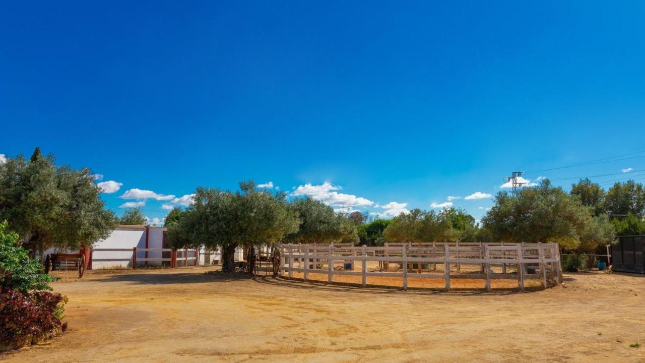 Finca La Canera Alcala De Guadaira By Ruralidays 외부 사진